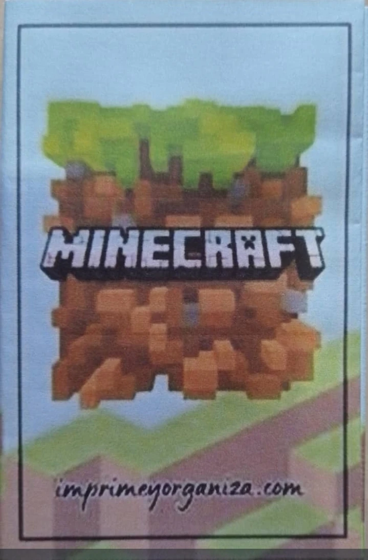 Librito para Colorear Minecraft's foto | PartyExpress |  BizneCubano